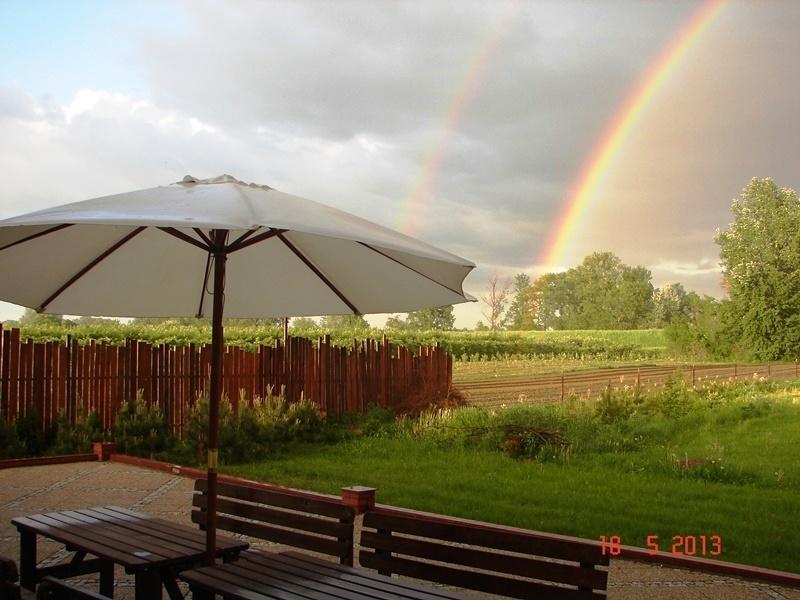 Bed and Breakfast Gosciniec Kocmierzow Сандомир Екстер'єр фото